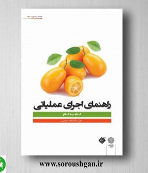 خرید کتاب راهنمای اجرای عملیاتی (گام به گام) دکتر سید محمد اعرابی