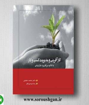 خرید کتاب کارآفرینی و مدیریت کسب و کار دکتر محمد حقیقی