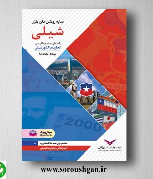 خرید کتاب سایه روشن های بازار شیلی اثر مهدی نجات نیا